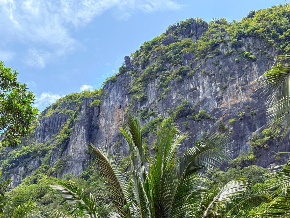 Limestone cliff rising above the palms