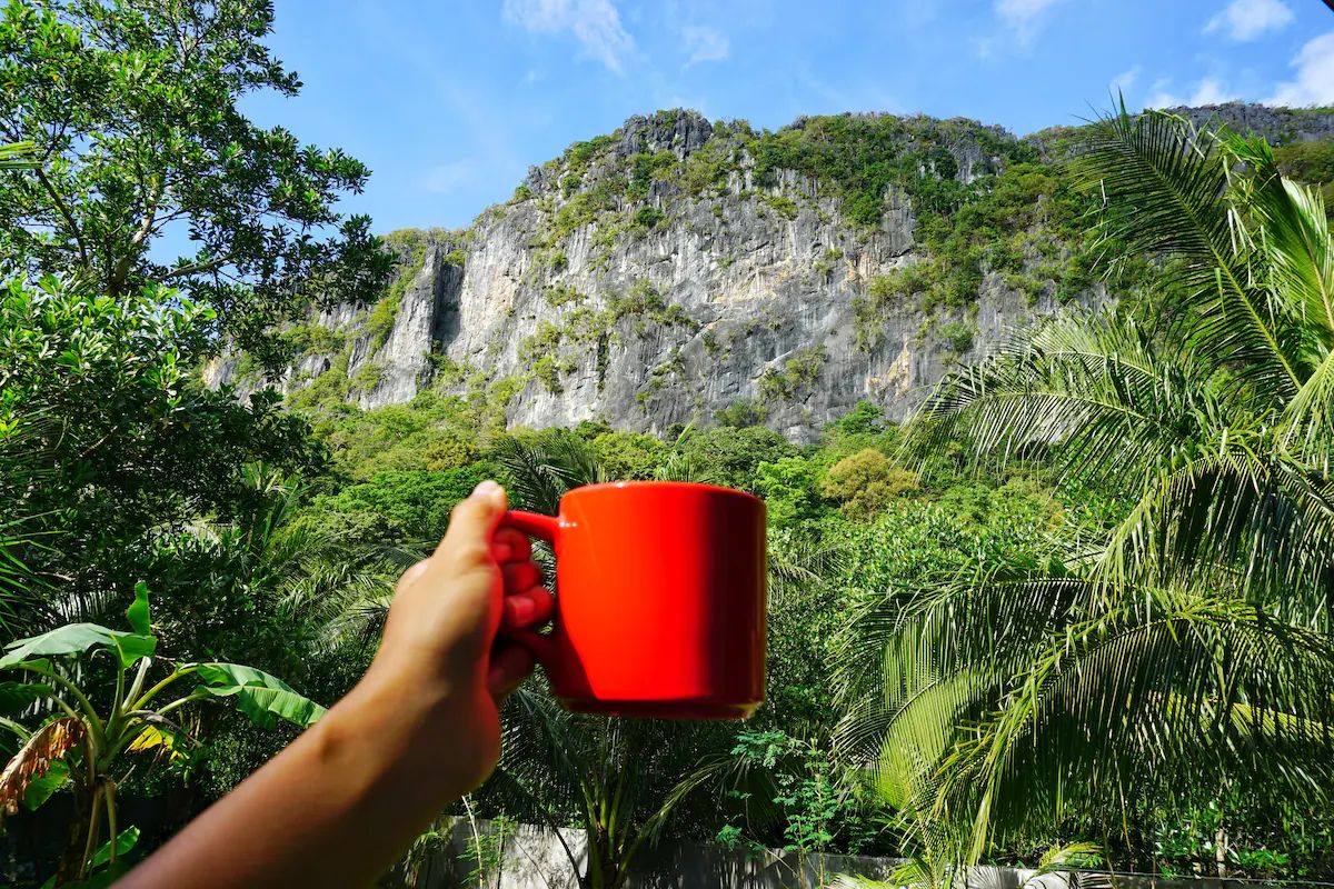 A red mug held up against the jungle-covered cliff